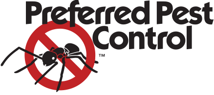 Eco-Friendly Pest Control Canberra