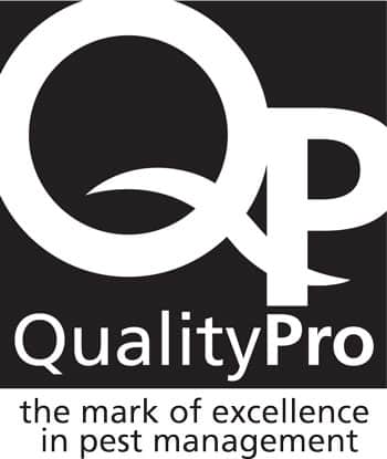 quality pro logo